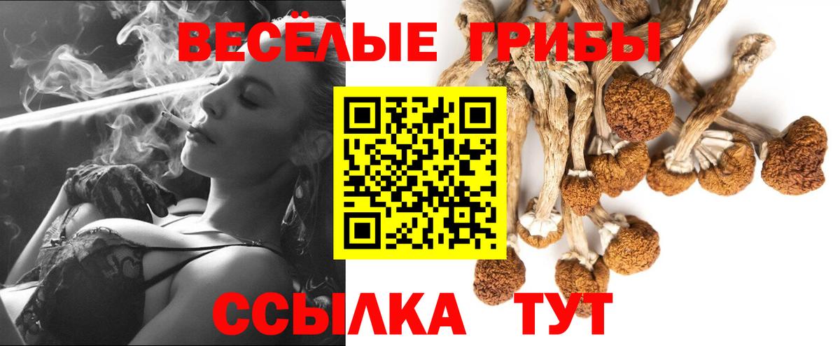 Галлюциногенные грибы прущие грибы Конаково