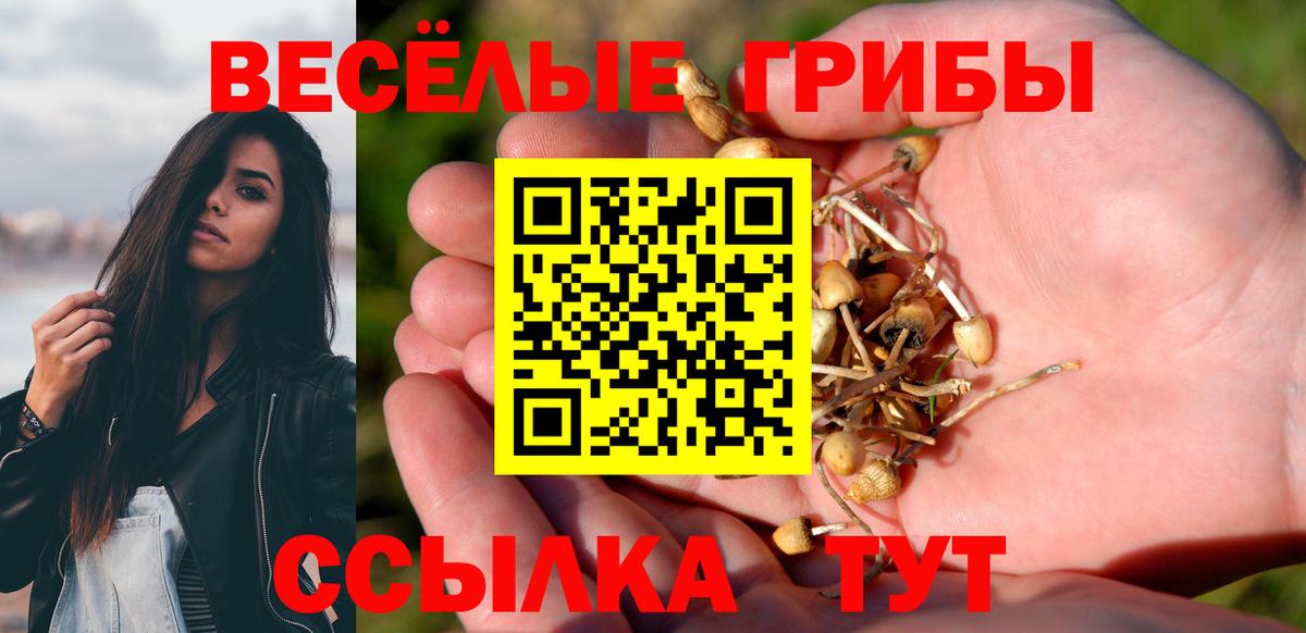 Псилоцибиновые грибы мицелий  Вход с VPN  Конаково 