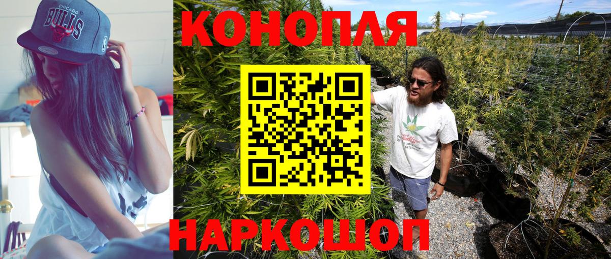 Бошки Шишки Amnesia Конаково